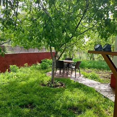 Riza 게스트하우스