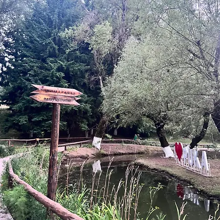 Riza 게스트하우스 Puke